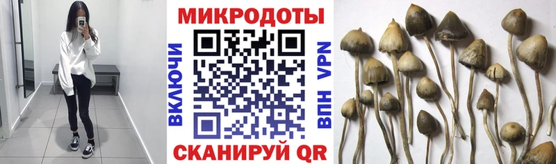 Галлюциногенные грибы Cubensis  omg вход  нарко площадка клад  Болохово 